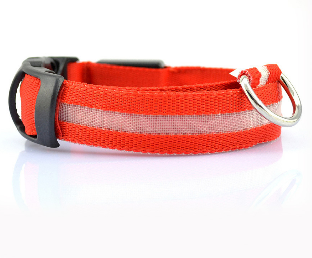 Illuminate Your Dog's Style with the Safety LED Dog Collar