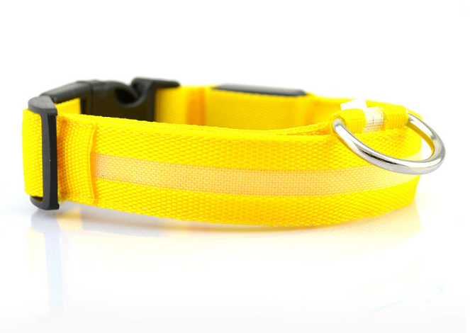 Illuminate Your Dog's Style with the Safety LED Dog Collar
