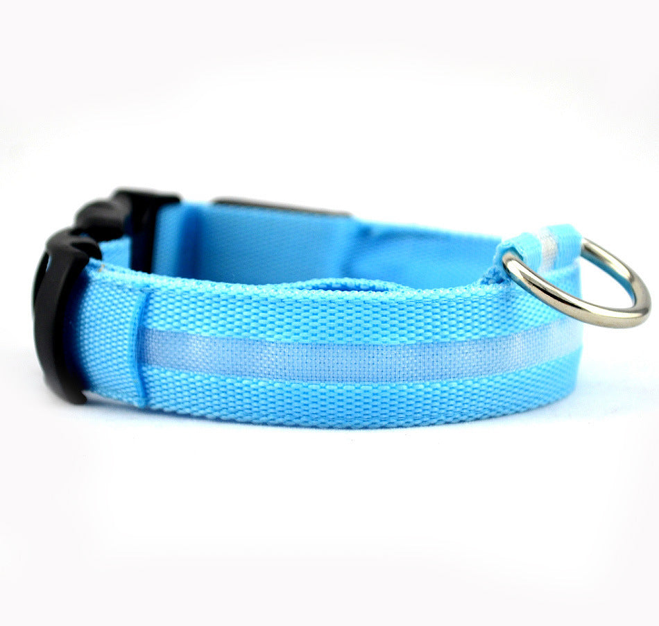 Illuminate Your Dog's Style with the Safety LED Dog Collar