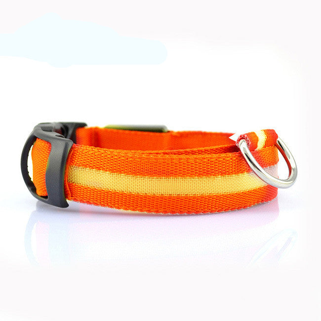 Illuminate Your Dog's Style with the Safety LED Dog Collar