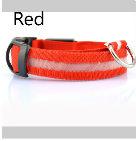 Illuminate Your Dog's Style with the Safety LED Dog Collar