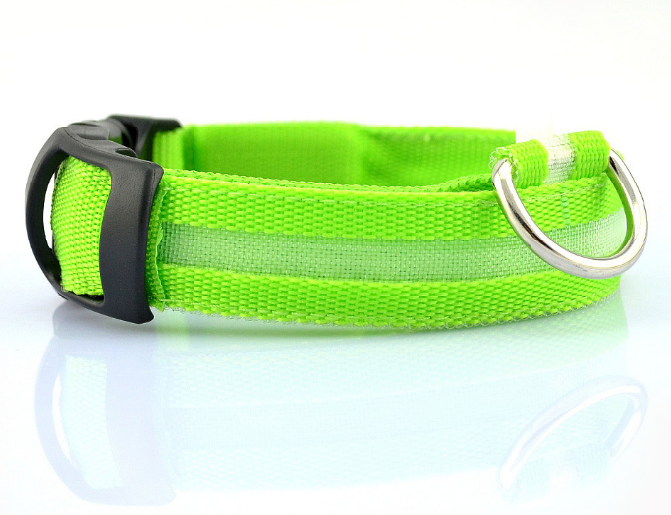 Illuminate Your Dog's Style with the Safety LED Dog Collar