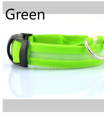 Illuminate Your Dog's Style with the Safety LED Dog Collar