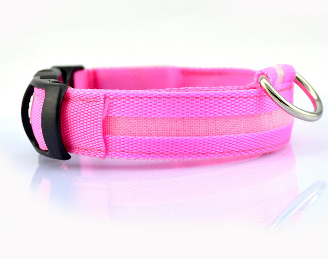 Illuminate Your Dog's Style with the Safety LED Dog Collar
