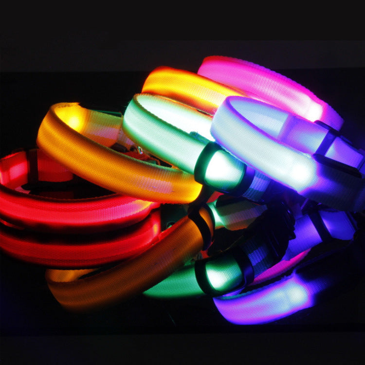 Illuminate Your Dog's Style with the Safety LED Dog Collar
