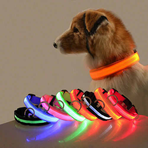 Illuminate Your Dog's Style with the Safety LED Dog Collar