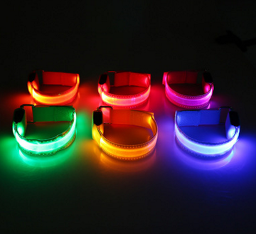 Illuminate Your Dog's Style with the Safety LED Dog Collar