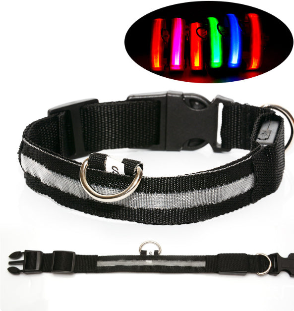 Illuminate Your Dog's Style with the Safety LED Dog Collar